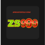 Zs 999 Game